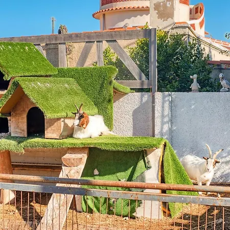 Kuko Διαμέρισμα Denia